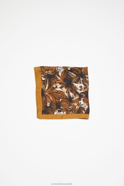 Print silk scarf Brown Acne Studios R66LJ632 Accessories